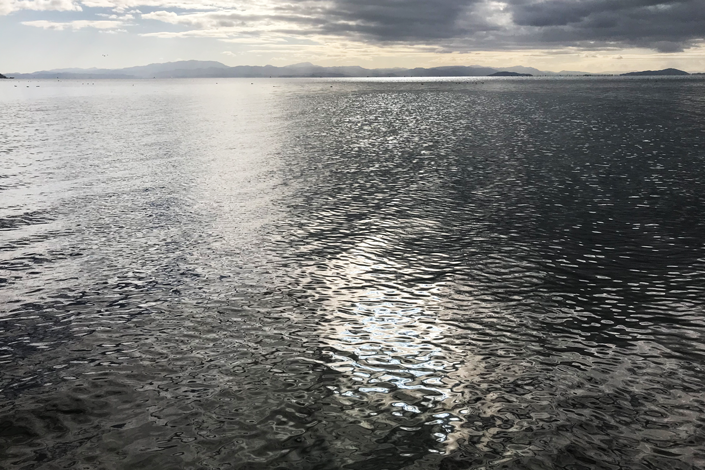 琵琶湖へバス釣り-北湖-奥琵琶湖-秘密のポイント２